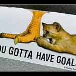 goals cat